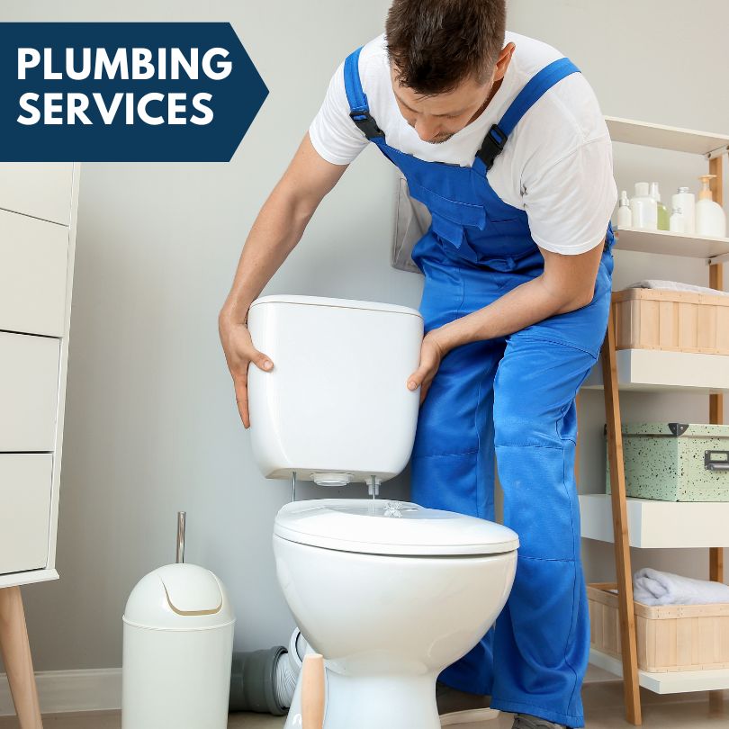 Plumbing Company in Port Byron, IL